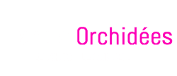 Francis Orchidées