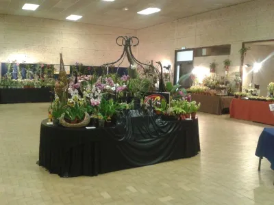 Nos salons d’expositions