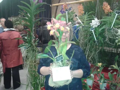 Boutique orchidées