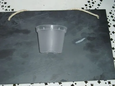 pot de 9cm