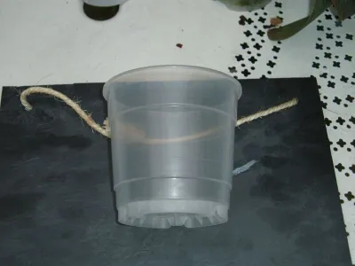 pot de 12 cm 1€